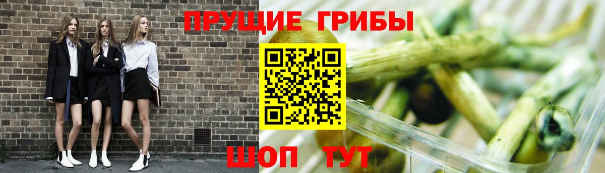 Галлюциногенные грибы ЛСД  Вход с VPN  Сарапул  Псилоцибиновые грибы Psilocybine cubensis 